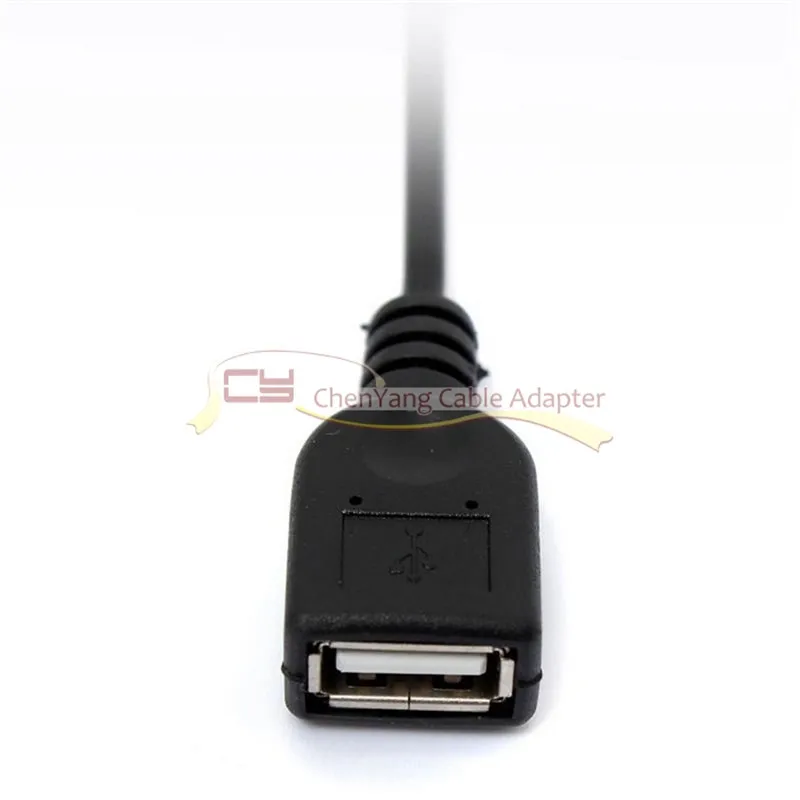 

5V USB Female to DC Power Jack 5.5 2.1mm Charge Cable for Cell Phone & Table