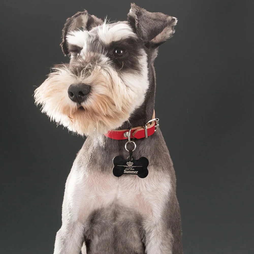 Бесплатная гравировка текста на передней задней стороне из нержавеющей стали Pet