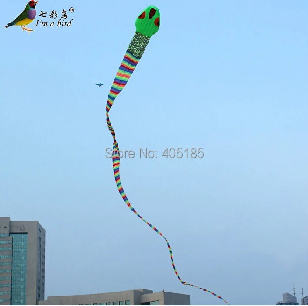 Мощный Змеиный змей 40 м для спорта на открытом воздухе|snake kite|good kitesfun sport |