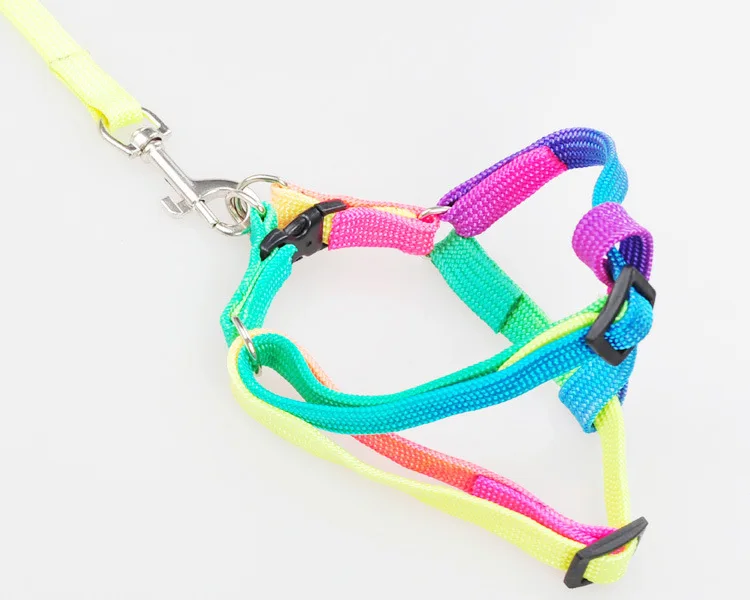 2017 новые яркие Радуга собаки поводок жгут набор Чихуахуа веревки тяги ремешок