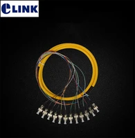 12port fc bundle fiber pigtails 1 5m sm optical fiber g652d cable a class ferrule ftth fc upc connector factory supply elink