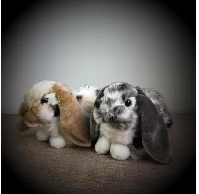 Мягкая плюшевая игрушка Rabbit Holland Lop имитирующая животных 27 см в подарок на день