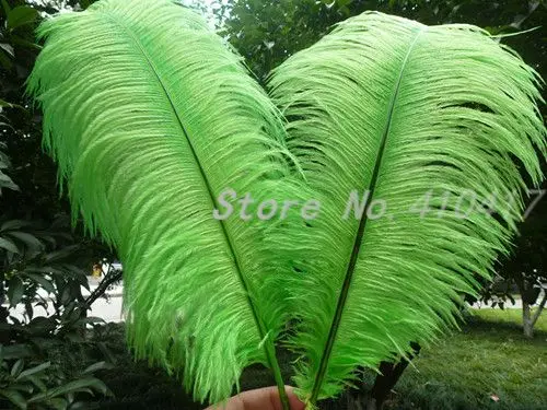 Опт 50 шт страусиных Feathers16-18inches перьев зеленого цвета для представления украшения