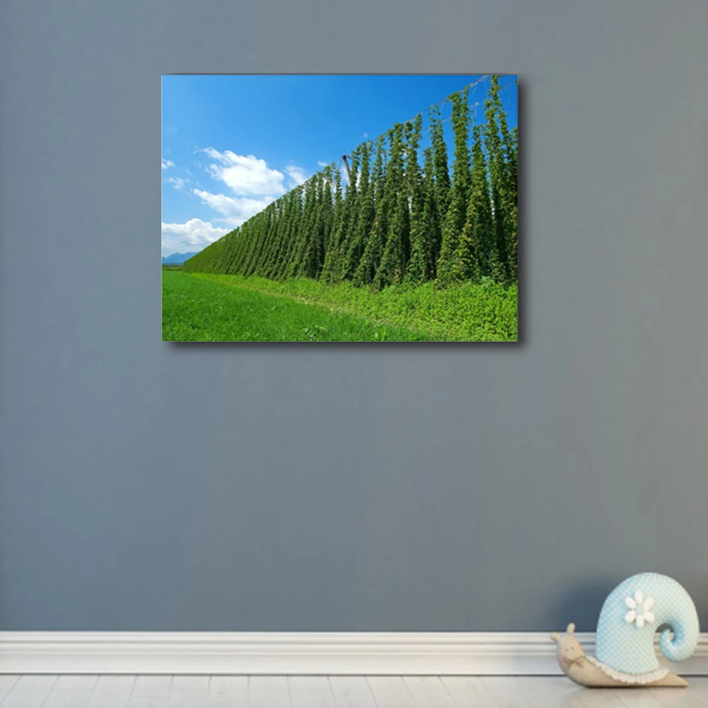 Blue Sky Green Grass Plants Countryside Unique Gift Wall Decor No Frame Art Pictures Printed For Home Decoration Mural Wallpaper | Дом и сад