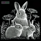 Черный белый кролик, 5D DIY Алмазная мозаика, вышивка крестиком, полностью квадратная круглая дрель, алмазная картина, наклейка для дома NEW969