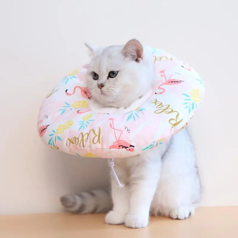 

Pet Dog Cat Elizabeth Circle Collar Puppy Anti Bite Protective Neck Collar Wound Healing Medical Recovery Scratching Tool