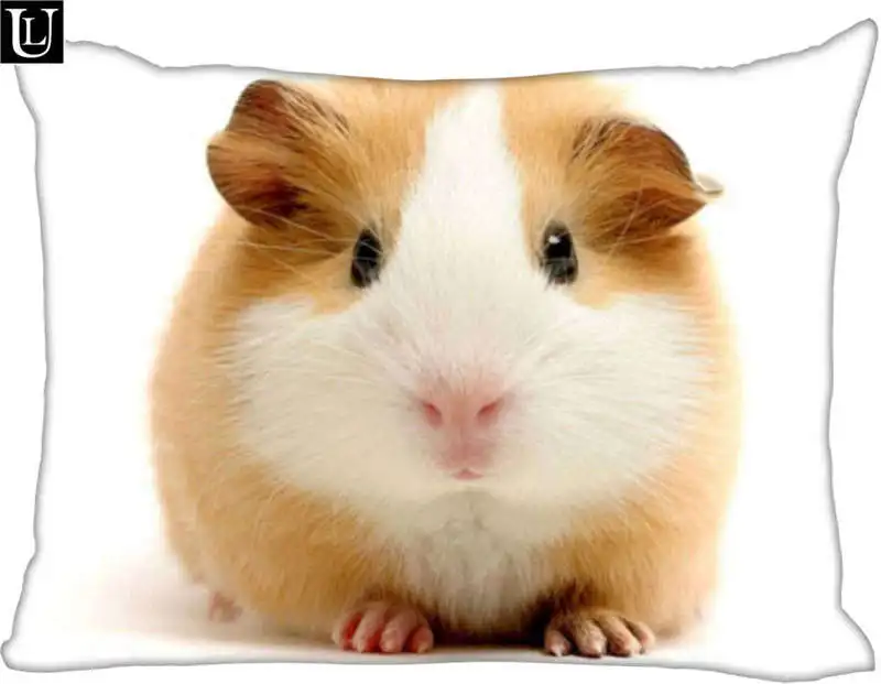 

Custom guinea pig Rectangle Pillow Cover Size 45x35cm (one side) Print Custom Zipper Polyester Cotton Pillowcase more size