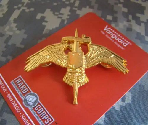Морская пехота США USMC спецназ MARSOC RAIDER Золотая булавка | Спорт и развлечения