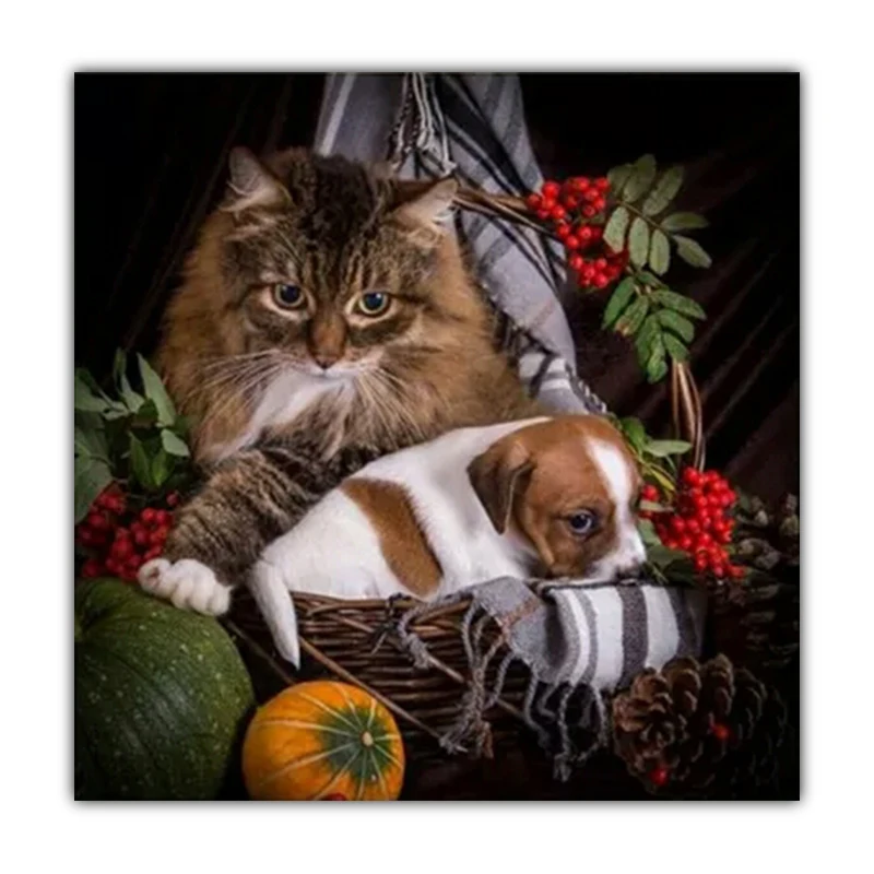 

DIY 5D Diamond Embroidered Animals Cats and Dogs Partners Cross Stitch Wall Pendant Mosaic Pattern Craft Home Decor Your Home