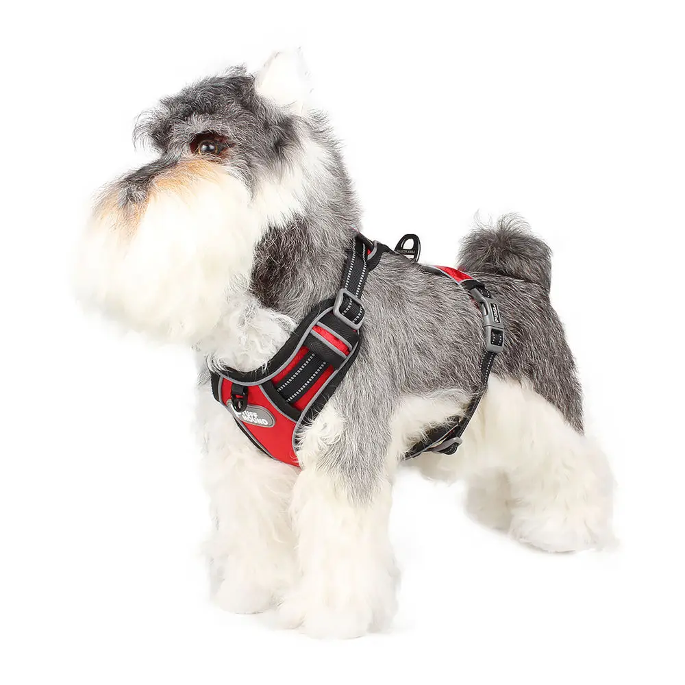 Светоотражающий нейлоновый ошейник TUFF HOUND для больших питомцев собак