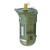 0.2kW AC 220V 380V 3-phases Medium geared motor Low speed Large torque Vertical installing for Industrial Stir Mixing Lifting