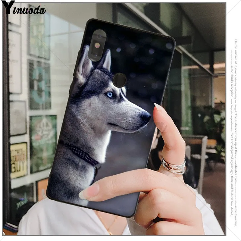 Чехол для телефона Yinuoda с изображением милого щенка Хаски Xiaomi Redmi 5 5Plus Note4 4X Note5 6A Mi 6