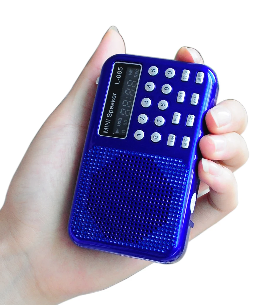 Бесплатная доставка L-065 Многофункциональный Мини цифровой диктофон с fm-радио