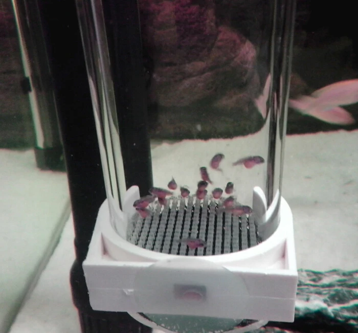 Бесплатная доставка тумблер для аквариума рыбы инкубатора яйца вместо