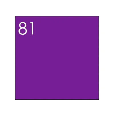 81 TOUCHNEW, мягкая кисть, маркер, двойная головка, на спиртовой основе, эскиз, маркер для анимации, манга, профессиональный рисунок, дизайнерские принадлежности - Цвет: 81