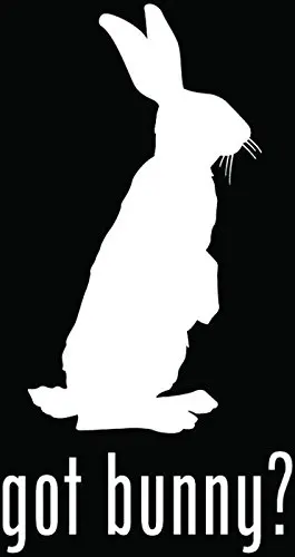 Got Bunny? Гоночный автомобиль спортивный клей наклейки для ноутбука дизельные
