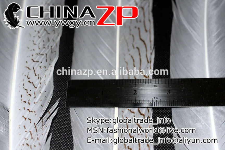 CHINAZP Factory 100 шт./лот большой размер 75 ~ 80 см (30 32 дюйма) Высокое качество натуральные