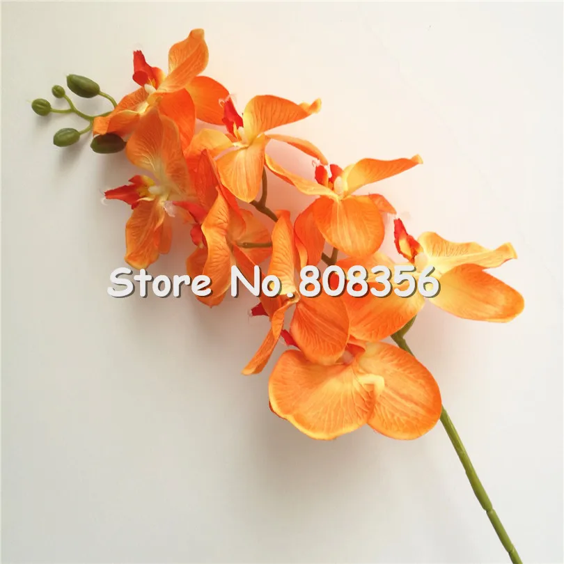 Орхидеи моли 25 шт. 8 головок большой размер длинный оранжевый цвет фаленопсис