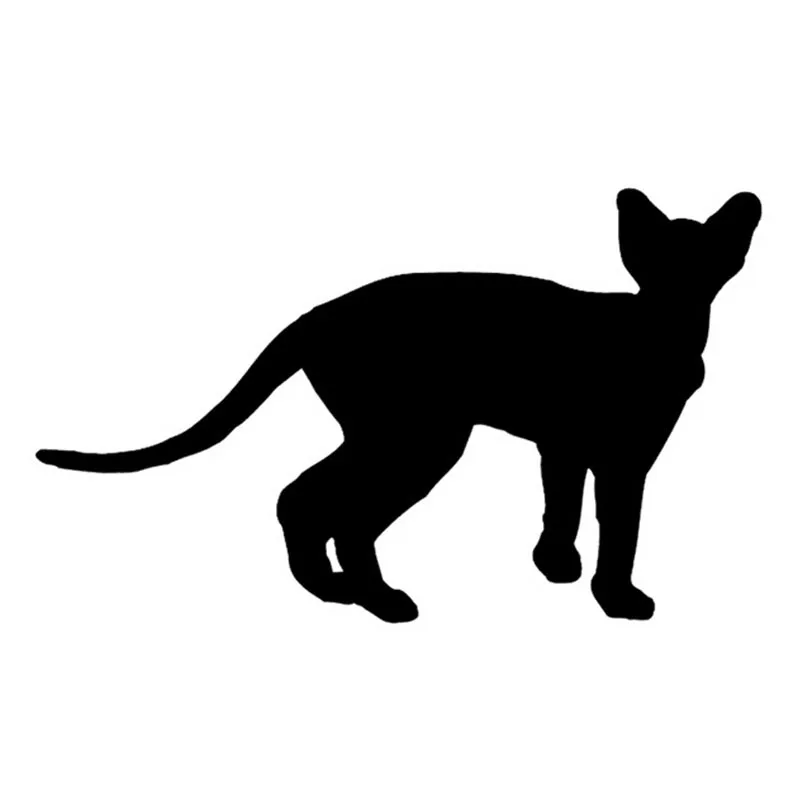 16 5*10 см SPHYNX Необычные наклейки для мотоциклов водонепроницаемые Стайлинг