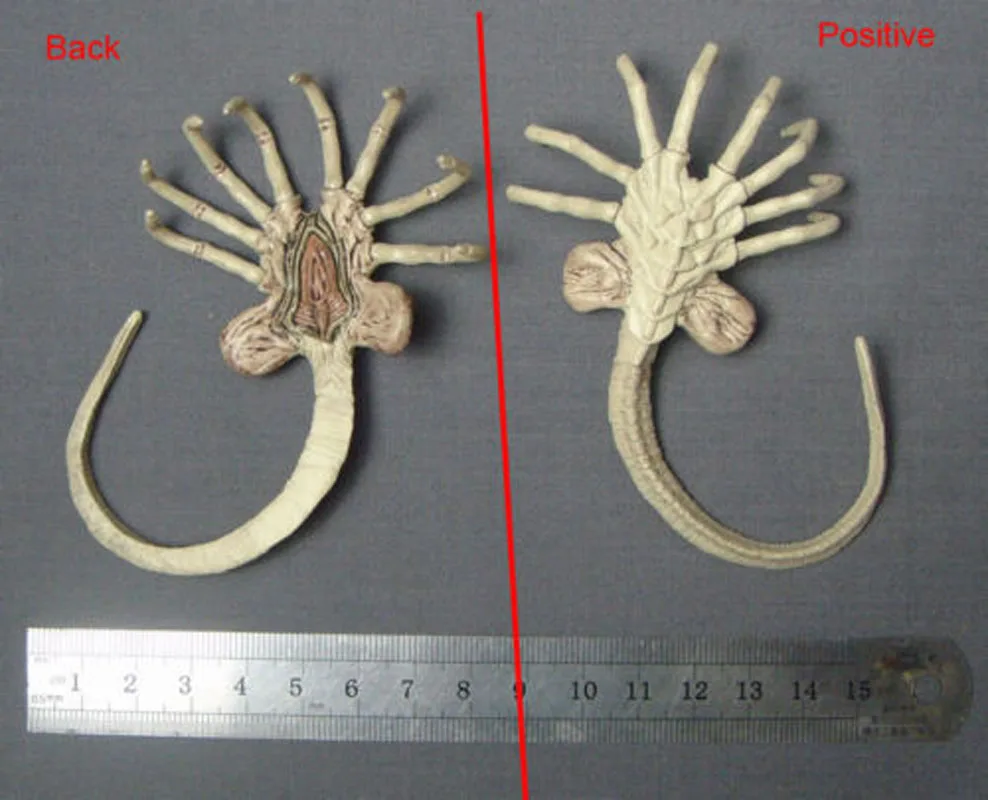 1:6 чужой Хищник Прометей звезда зверь FACEHUGGER личинка Игрушечные лошадки для 12