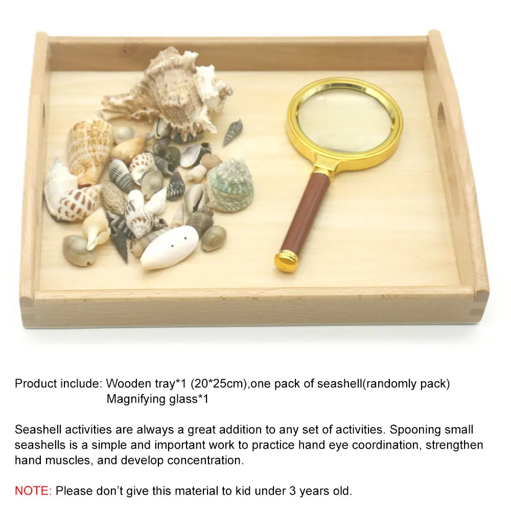 Montessori Sensorial Material Seashell Activities Развивающие деревянные игрушки для детей 3 лет Juguetes