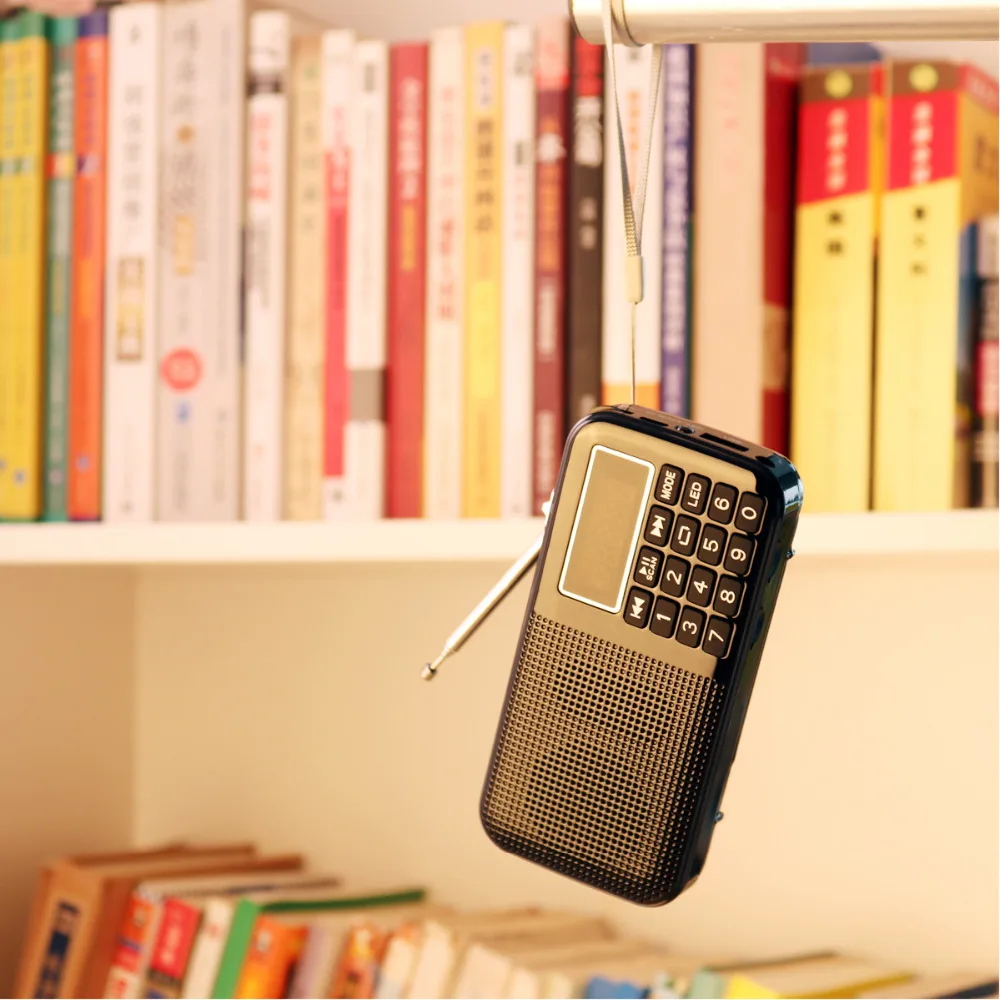 PRUNUS Портативный большой Батарея Ёмкость (3000 мАч) Перезаряжаемые FM SD USB MP3 радио с