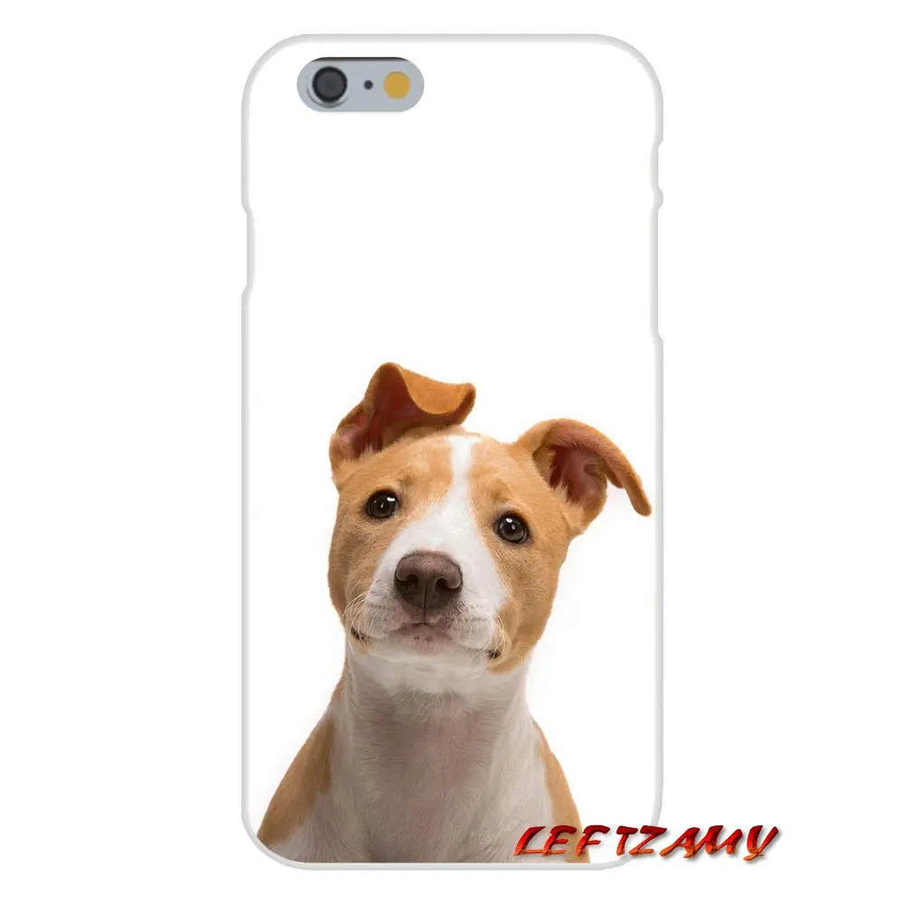 cute jack russell terrier dog puppy For Huawei P Smart Mate Y6 Pro P8 P9 P10 Nova P20 Lite Mini 2017 Accessories Case Covers | Мобильные