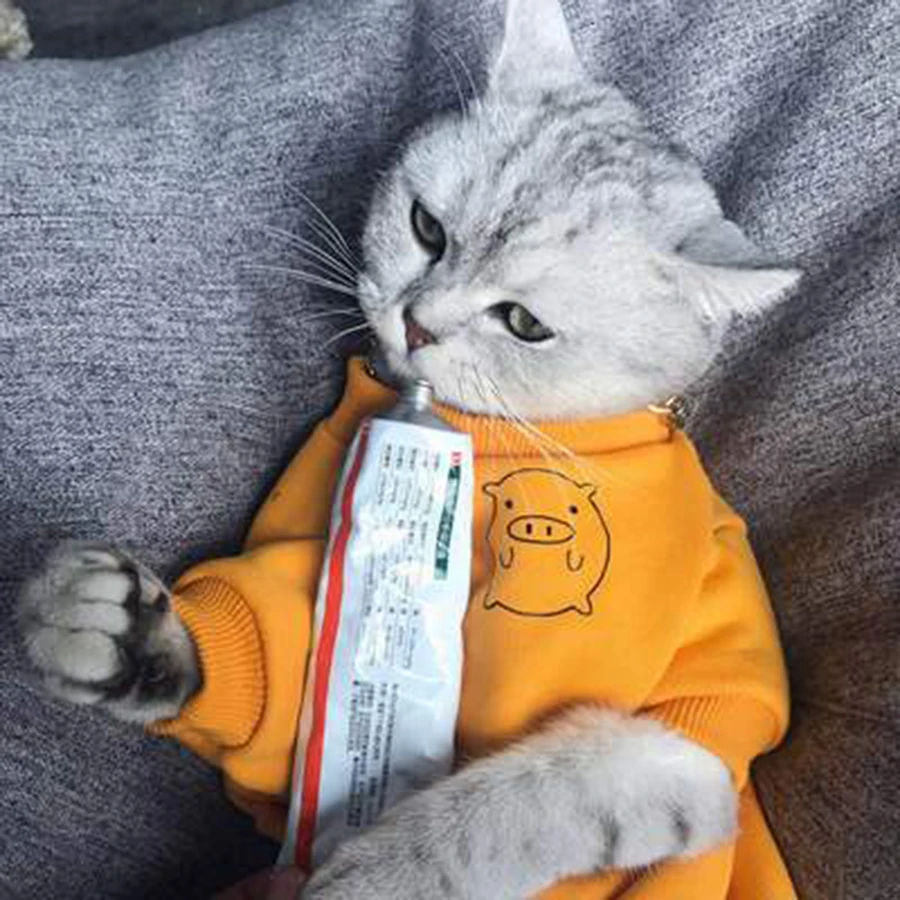 Одежда для кошек костюм Мода 100% хлопок котенок одежда Рождественская домашних