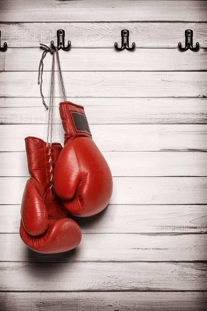 Boxing Sports Red Gloves SILK POSTER Decorative painting Wall 24x36inch | Дом и сад