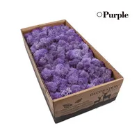 R purple 500 г натуральный олень мох консервированный сушеный цветок Stamen для Сказочный Сад Гирлянда Свадебная вечеринка Декор 24 цвета на выбор - Цвет: R purple