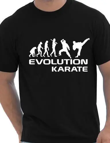 Забавная Мужская футболка evolation Of Karate подарок на день рождения большой размер и