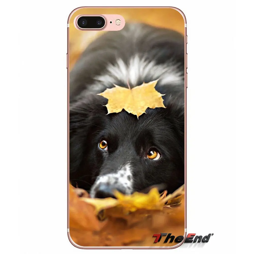Мягкий силиконовый чехол для HTC One M7 M8 A9 M9 M10 E9 Plus Desire 630 530 626 628 816 820 Motorola G G2 G3 Border Collie