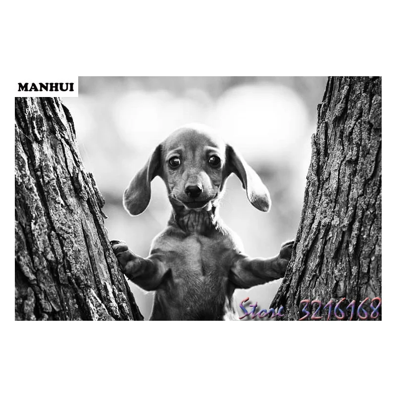 Алмазная 5D мозаика Volledige vierkante/Ронде животное собака DIY украшение для дома SA063 | Дом