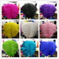 beautiful ostrich feather 100 pcs feather length 10 12 inches 25 30 cm of wedding to decorate a variety of color optional