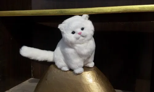 new simulation white cat polyethylene &amp fur sitting model gift about 24x17cm180 | Игрушки и хобби