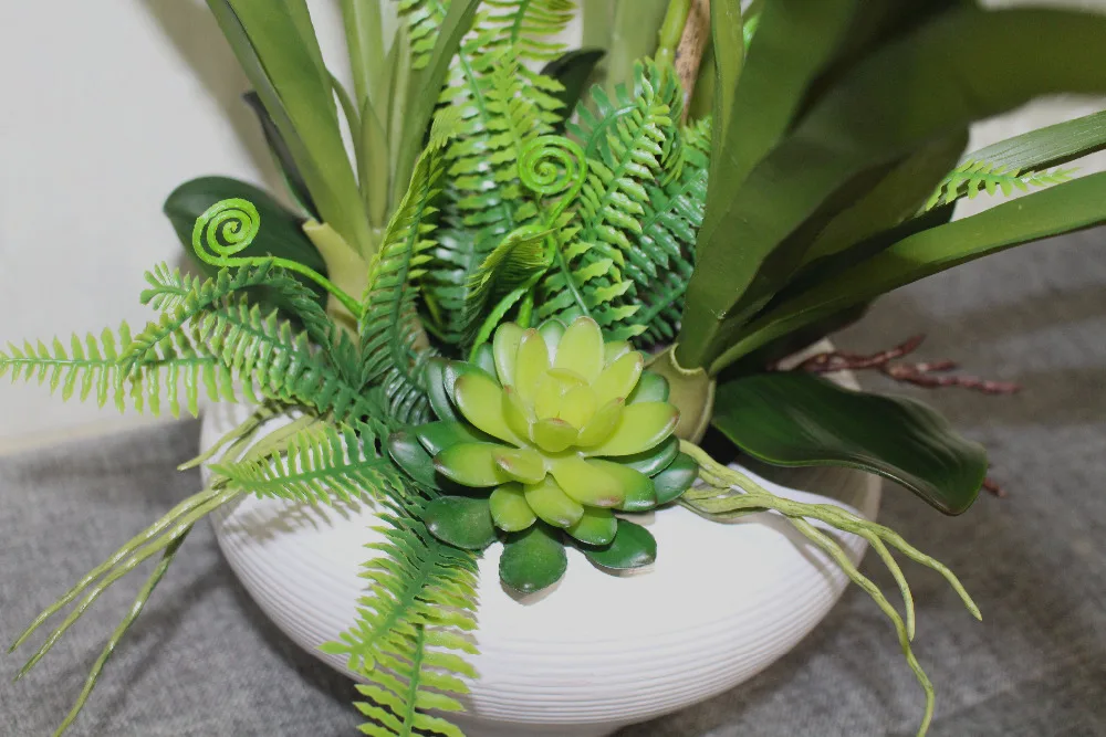 Ранняя композиция цветок бонсай только без вазы | Дом и сад