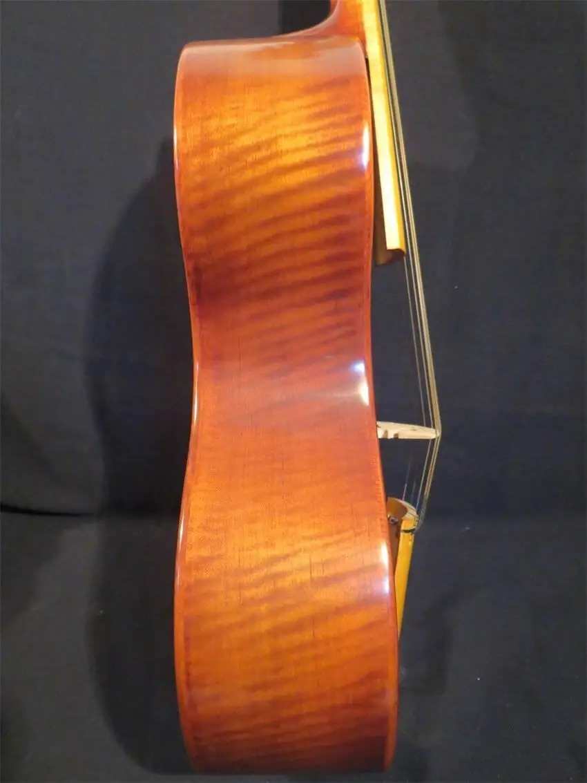Песня в стиле барокко Maestro 7string (15 &quot) viola da gamba насыщенный тон #4339|Альт| |