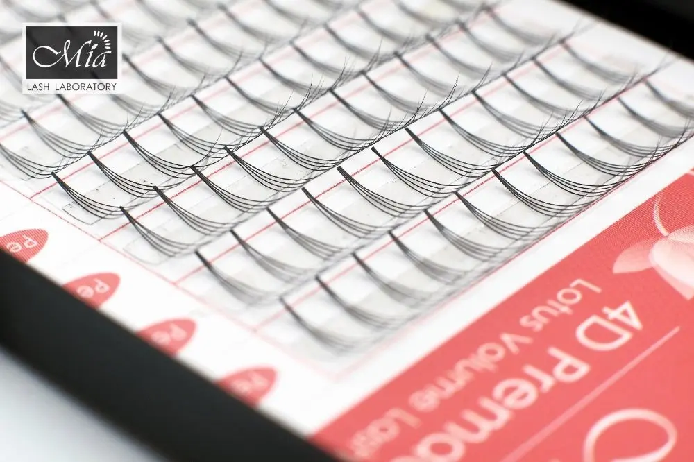 [4D 0 10 C/D] Миа Лотос эффективно быстрая скорость предварительно сделанный 4D объем