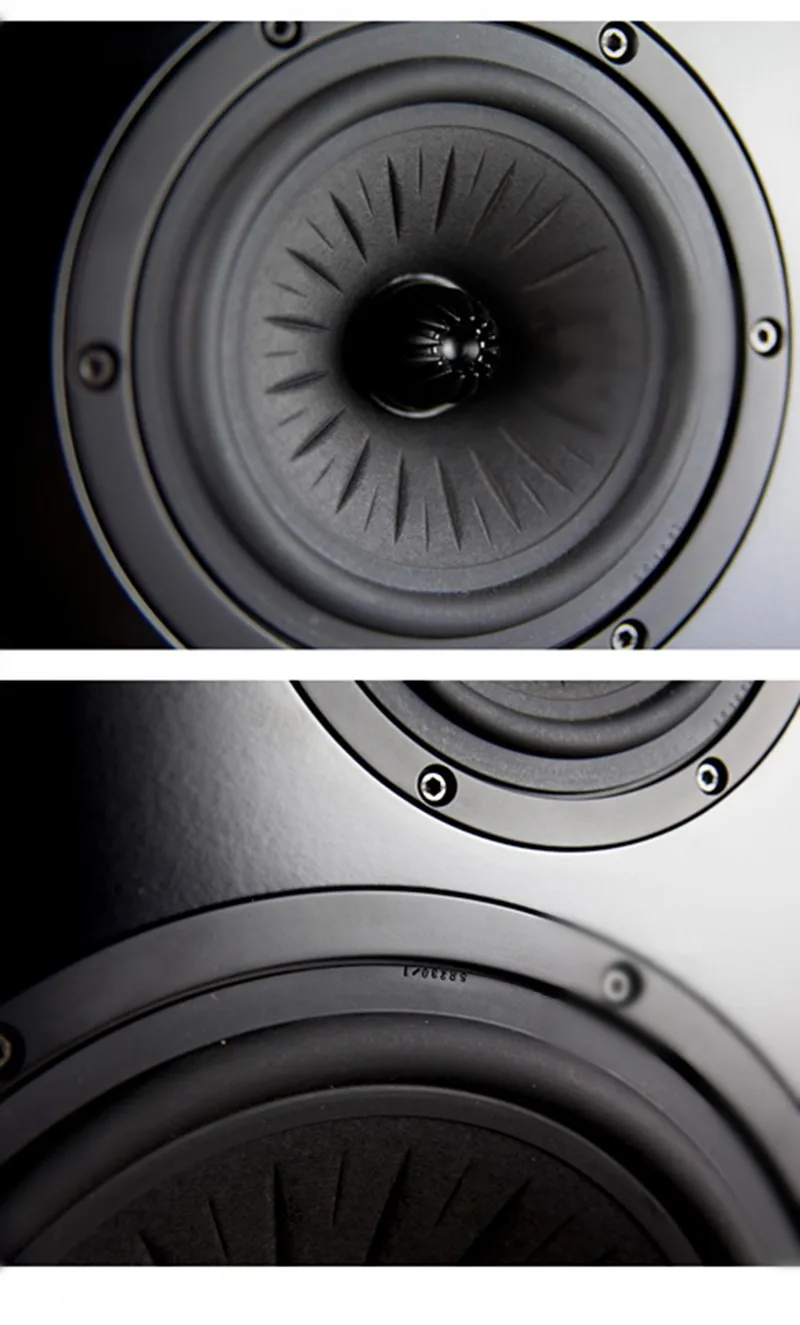 N-001 Gravity-acoustic Orchestra 11 дюймов трехполосная HiFi книжная полка динамик Eton 28S твитер+ 5-512 СЧ+ 11-612 НЧ динамик