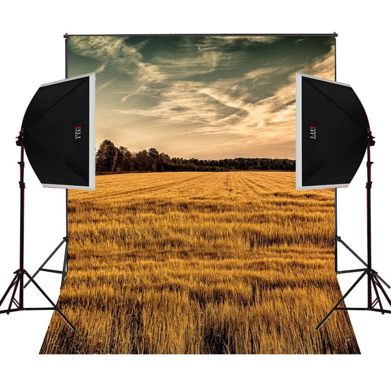Фон для студийной фотосъемки Виниловый фон тканевый цифровой реквизит|backdrop