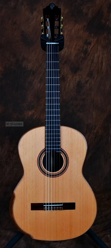 Классический Жесткий Чехол для гитары из цельного дерева