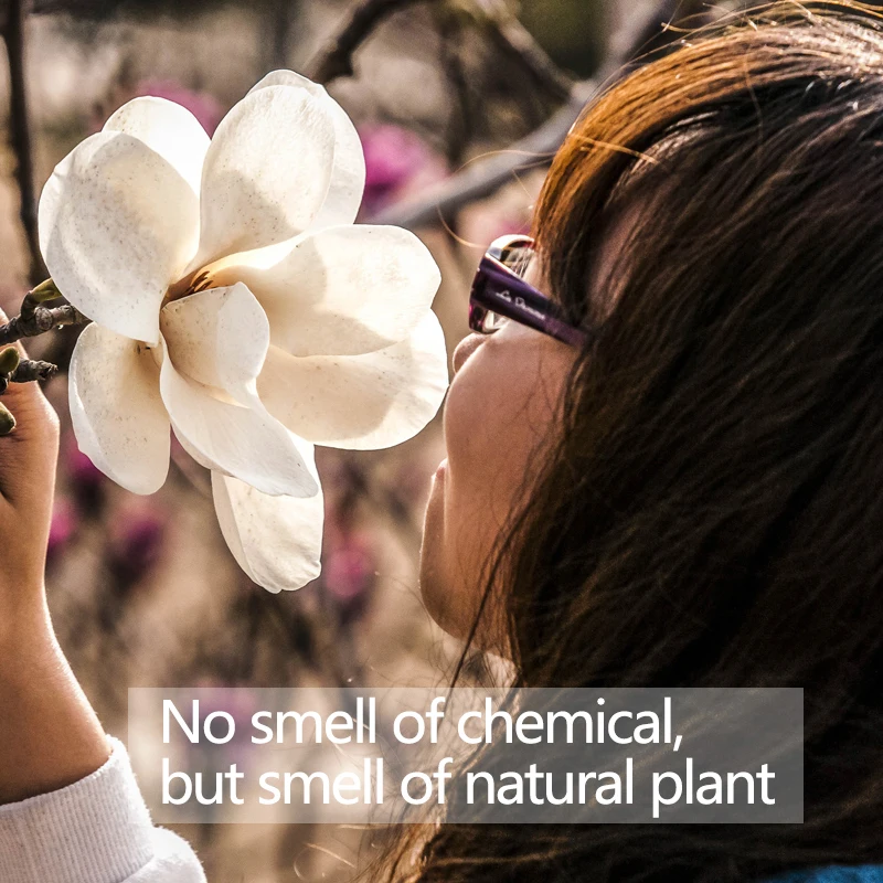 SEASONCARE натуральный чистый Здоровый бренд-Магнолия выдержки новый ногтей гель