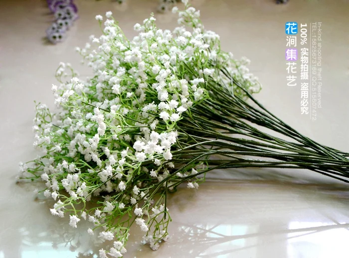 Пластиковые цветы сухих цветов моделирования звезды оптовая декоративный