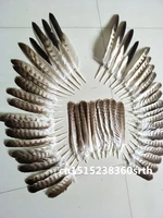 sale a set high quality scare natural eagle feathers 20 33cm8 14inch diy stage performance jewelry crafts decoration collect