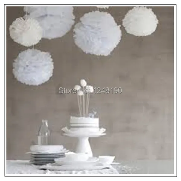 Free Shipping 40pcs 25cm(10inch) tissue paper pom poms for decoration |