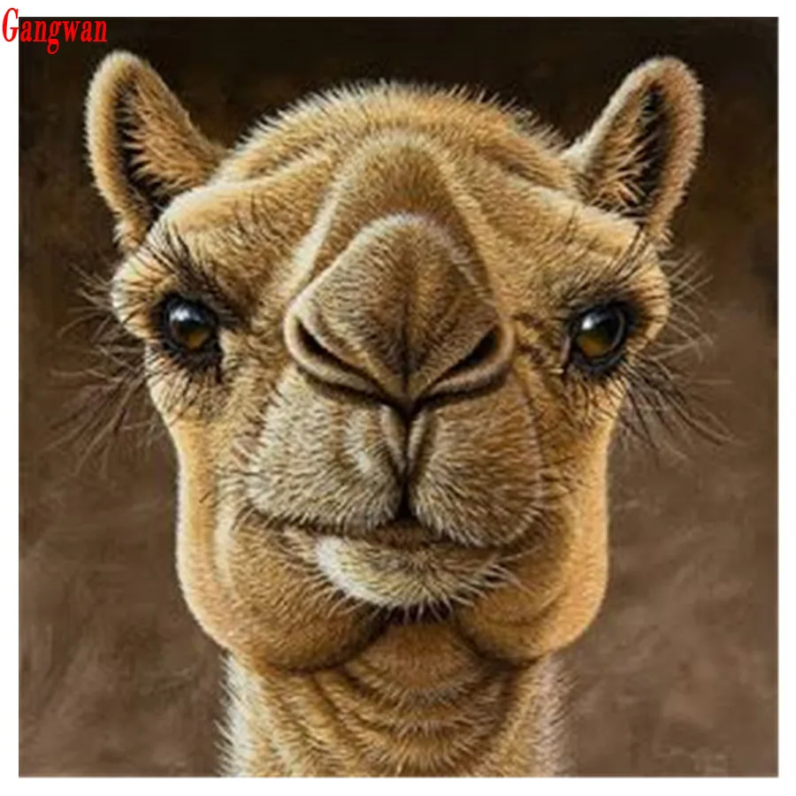 

Animal camel Resin 3D Full Square Diamond painting Alpaca pattern Diamond Embroidery Sale rhinestones Mosaic pictures Home decor