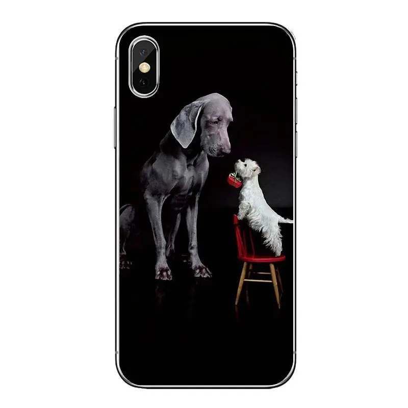 Силиконовые чехлы для телефонов West Highland White Terrier Dog Scotland Samsung Galaxy A5 A6 A7 A8 A9 J4 J5 J7 J8 2017
