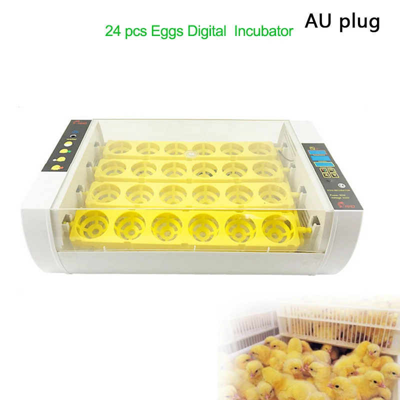 AU Plug 24 автоматический инкубатор для яиц цифровой ясный яичный ферм инкубатория машина куриный инкубатор для яиц Брудер токарный контроль температуры - Цвет: AU Plug