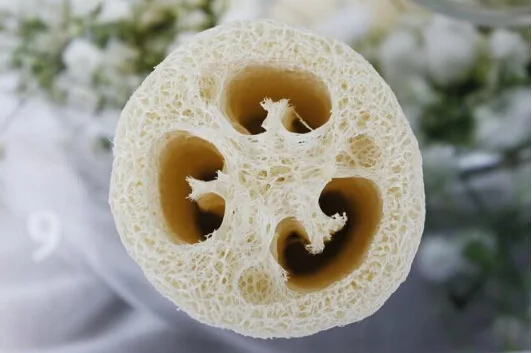 2 шт./лот натуральная люфа Luffa Loofa для ванны и душа для тела спа сообщение Губка скруббер рога удаления аксессуары для ванной комнаты