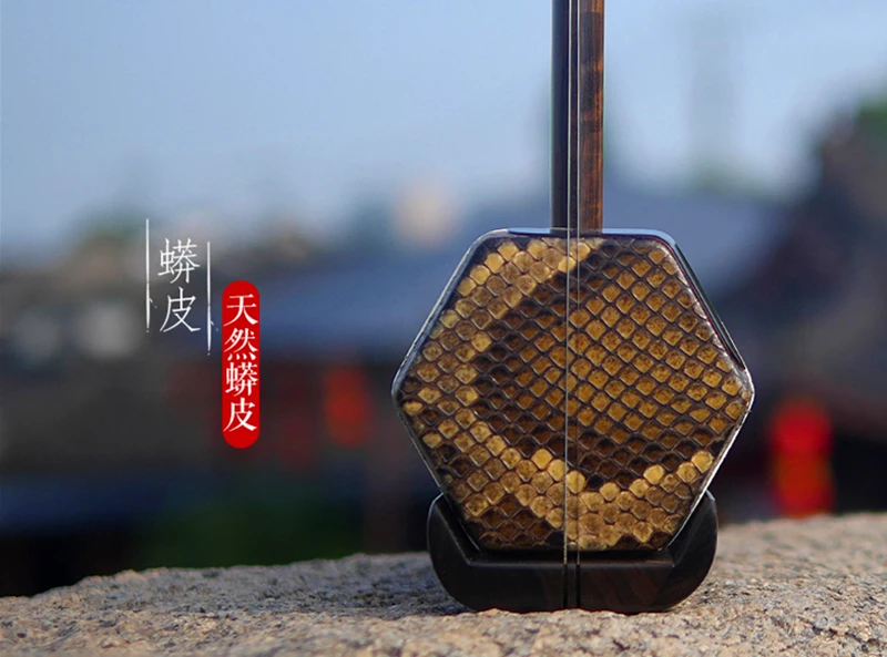 Erhu Китайский инструмент профессиональный Huqin Strik Muziek macassar ebony Erhu instrumento аксессуары струнный лук erhu книжный тюнер